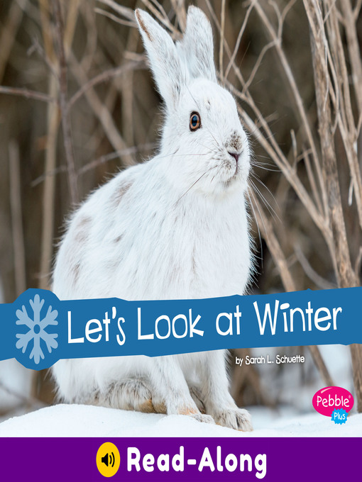 Title details for Let's Look at Winter by Sarah L. Schuette - Available